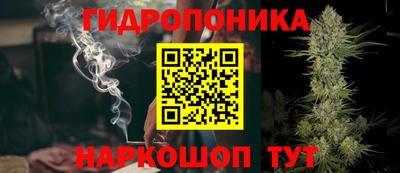 спиды Новозыбков