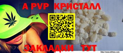 спиды Новозыбков