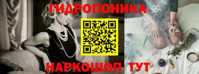 спиды Новозыбков