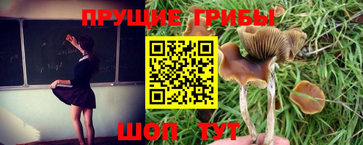 Галлюциногенные грибы мухоморы Стрежевой