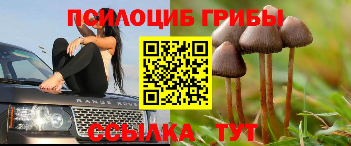 Стрежевой  что такое наркотик  Вход с VPN  Галлюциногенные грибы Magic Shrooms 